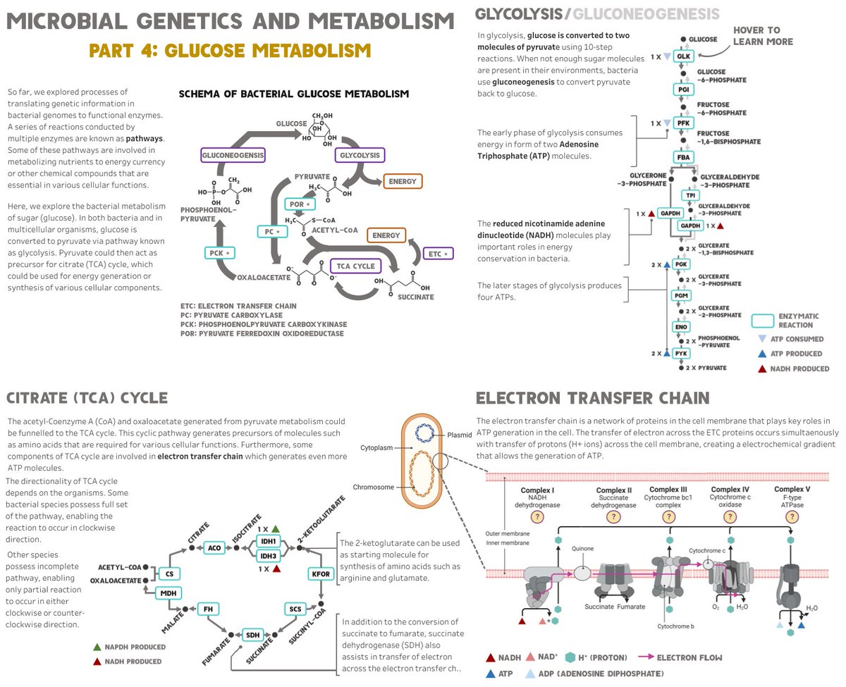 YoungDoesSciViz tweet picture