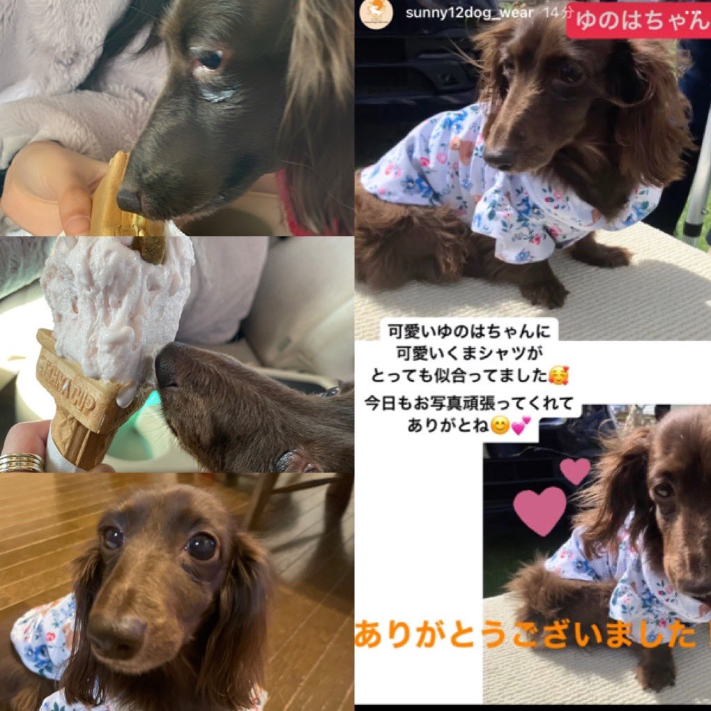 ご無沙汰しております🙇‍♀️
先週小さなマルシェに行ってきました！
前に1度ゆのはの服を買ったお店へ行くと、ゆのはのこと覚えてくれてて嬉しかったーー❤️また可愛い服見つけたよ！お店のインスタストーリーにもあがってた😊
その後は色々食べて楽しかった〜
