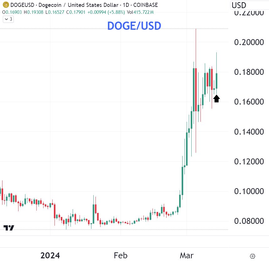 dogegg888's tweet photo. eyes on doge, not shib this time https://t.co/U8OVXvXlfd