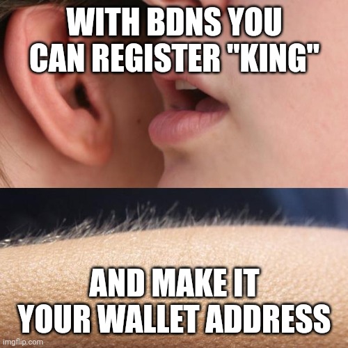 BDNS tweet media