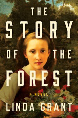 US edition coming 1 October @zandoprojects #TheStoryoftheForest