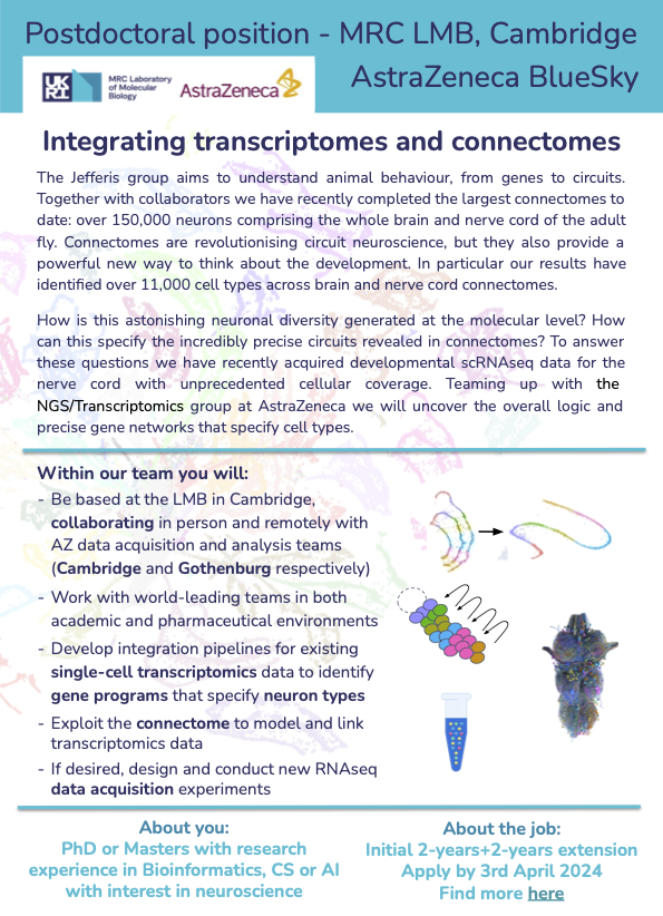 Do you love big data and the brain? We have #ScienceJobs for you! In Drosophila there are &gt;11,000 cell types that define the circuit structure of the connectome – but we don't know their molecular identity. Integrating connectomes and transcriptomes would be revolutionary. RT 1/3