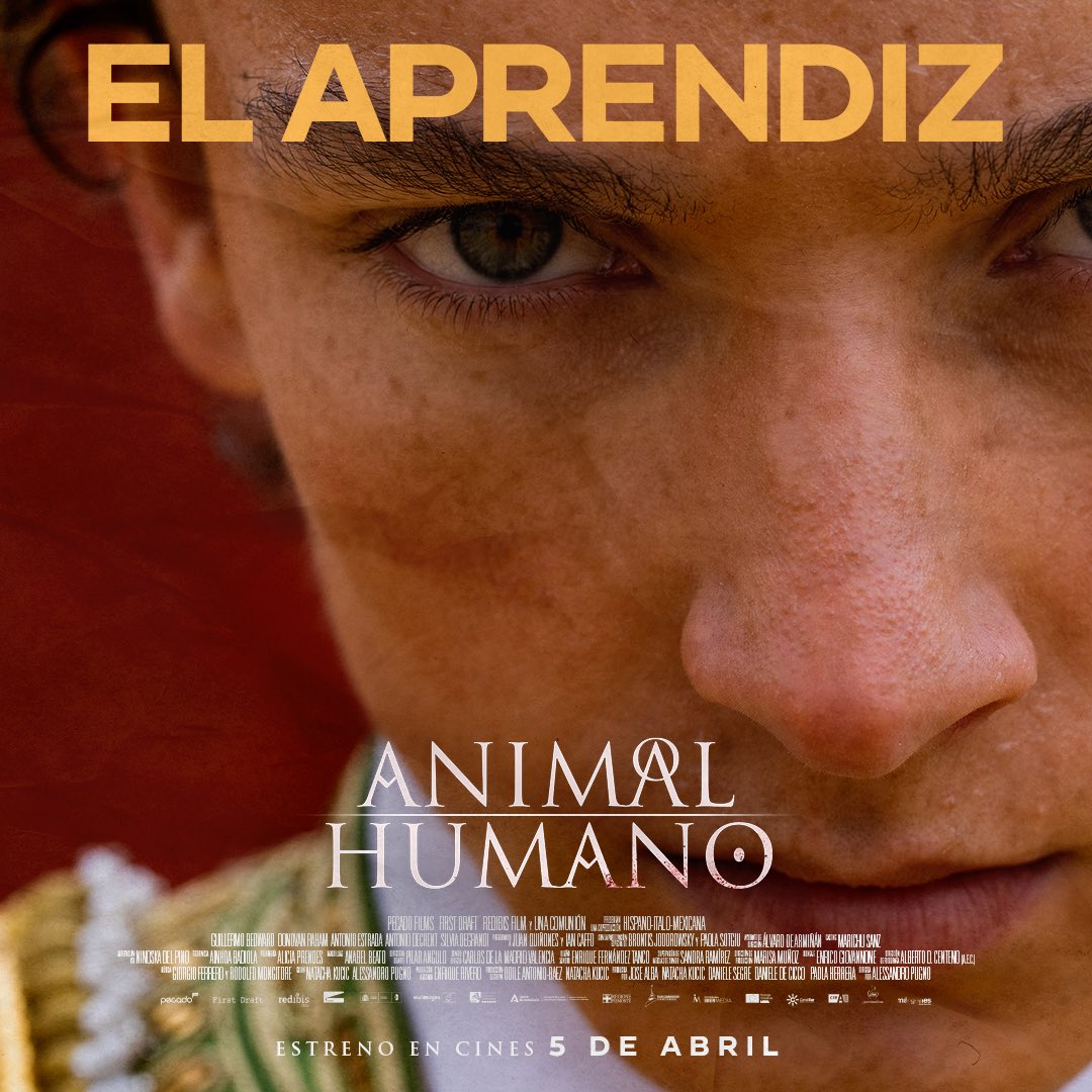 pecadofilms's tweet image. Matteo, nuestro joven protagonista, tiene un sueño: ser torero.

ANIMAL I HUMANO es la historia de dos destinos entrelazado: un joven con sueños de grandeza y un toro de lidia.
.
Una producción de @pecadofilms junto a #firstdraft @RedibisFilm @unacomunion 
.
5 de abril en cines.