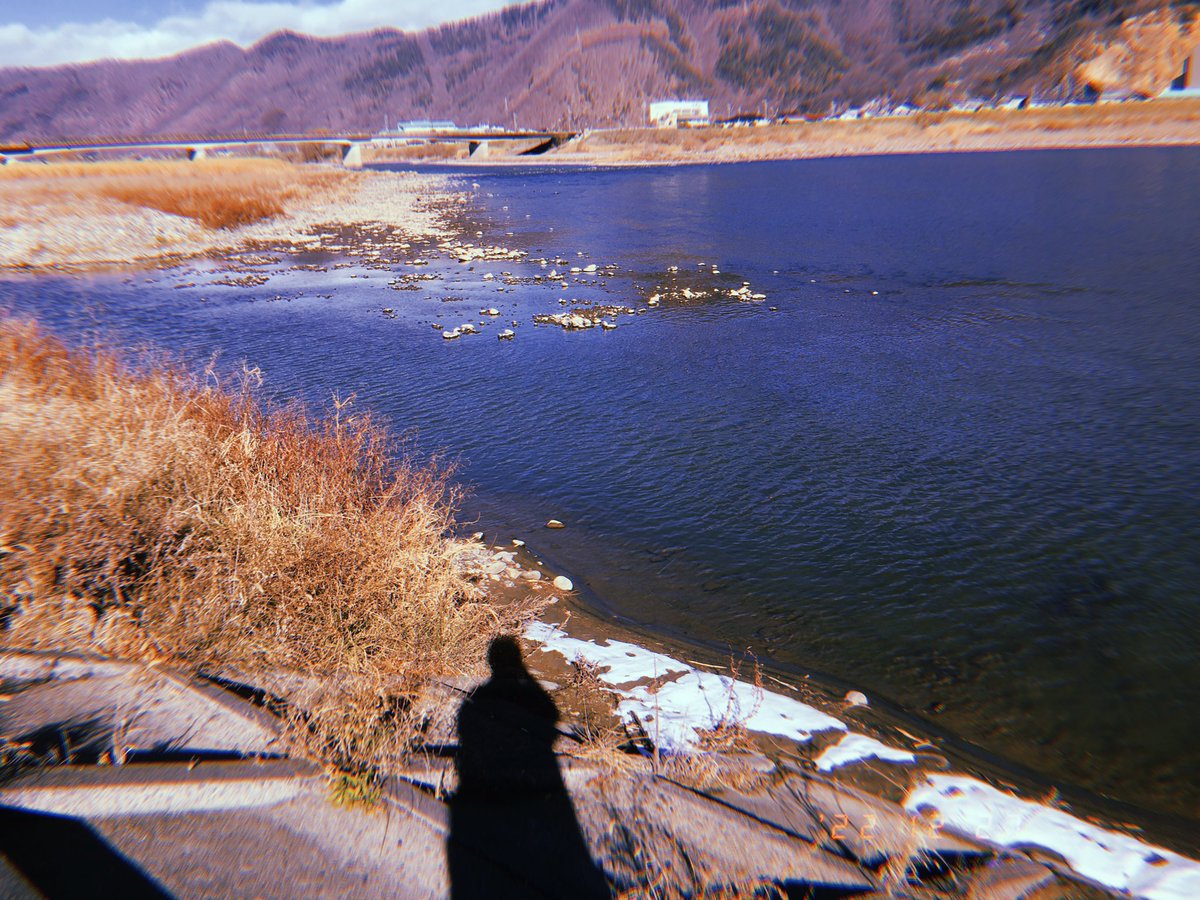 長谷川優貴／Yuuki Hasegawa tweet media