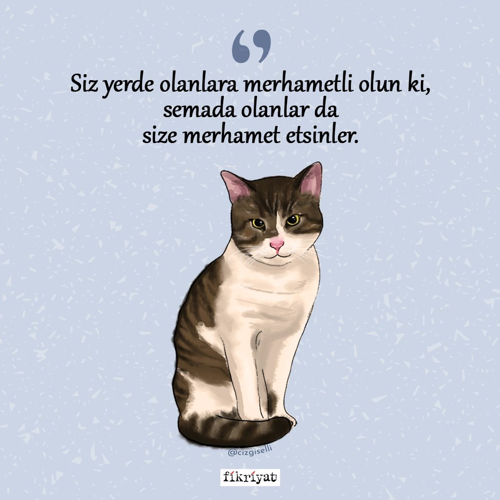 "Siz yerde olanlara merhametli olun ki, semada olanlar da size merhamet etsinler." 

Ebu Davud, Edeb 66

#eroskedi 🐈