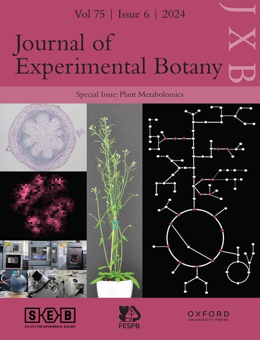 Hot off the press 🔥 Our new special issue on Plant #Metabolomics is out now! Read on for: 🌱 Current trends 🌱 Development of #analytical technologies 🌱 Functional study of #plant metabolism 🌱 Applications to synthetic and engineering #biology 📖 bit.ly/3v27Qlt