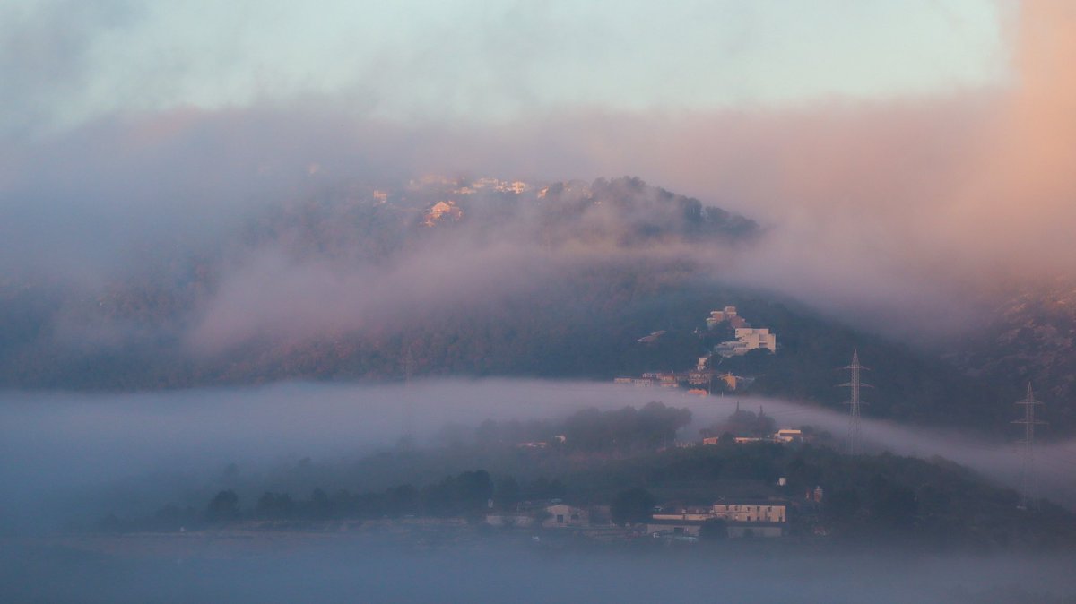 MeteoPenedesTV's tweet photo. 🌫️Mireu com s’escolava la boirina aquest matí entre les vinyes de #Viladellops, #Olèrdola!
📸 Fran Lorenzo https://t.co/YgHYeO3dlV