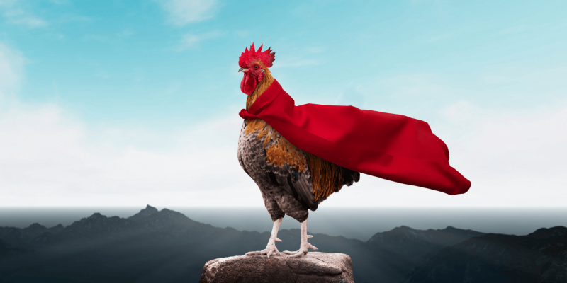 TacoTacToken's tweet photo. @IOHK_Charles super heroe $COCK 
$COCK #COCKCoin #CockStarsNFT. https://t.co/JHyUgdu4o9