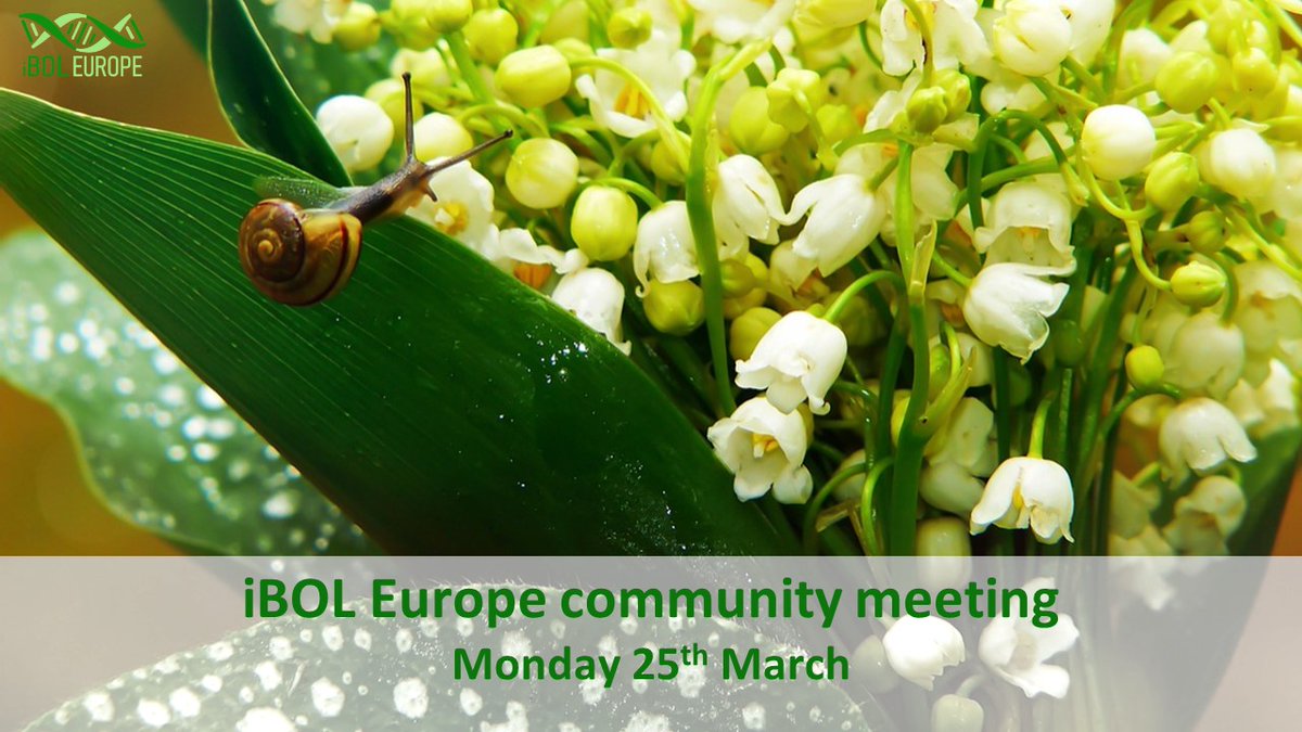 The next @iBOLEurope community meeting is coming on March 25🗓️! We’ll hear updates from @iBOLConsortium, #DNAquaIMG project and @BioGenEurope. Looking forward to seeing you all there!  

Not a member of the community yet? Join us: cognitoforms.com/stichtingnatur…