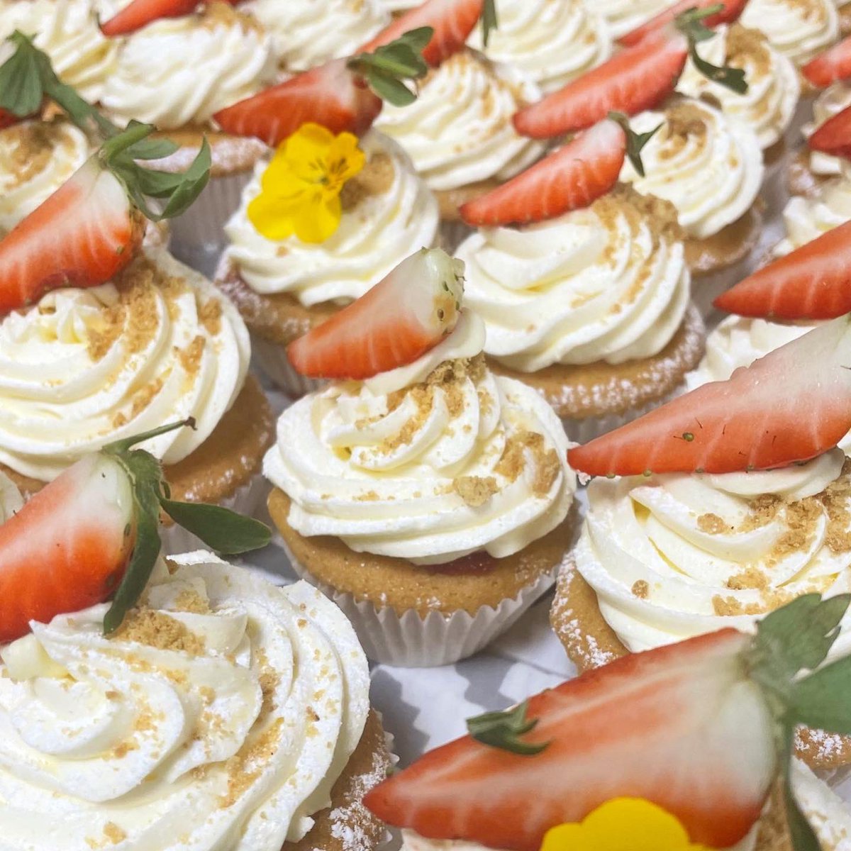 BaxterStorey Ireland tweet media