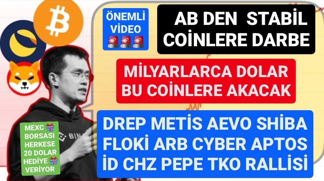 King Of Para tweet media