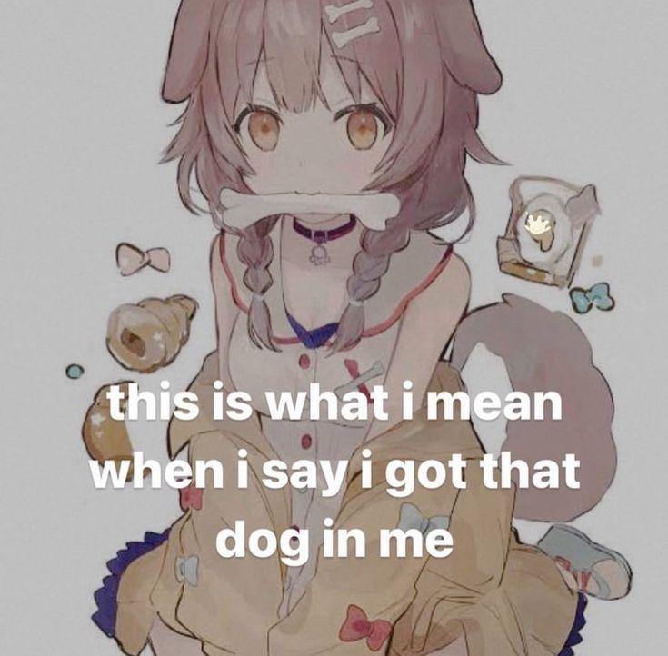 stoxped's tweet photo. puppyposting day 44 https://t.co/59SVQW0oiF