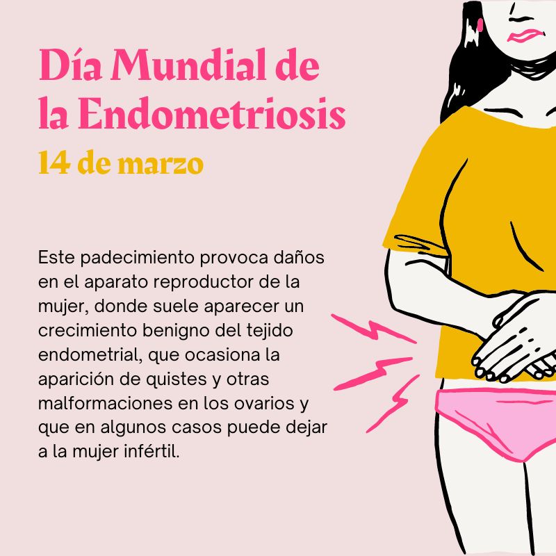 #14Marzo #endometriosis #DíaMundialdelaEndometriosis #endometriosisawareness #ContraBorradoMujeres @ContraBorrado #FelizJueves
