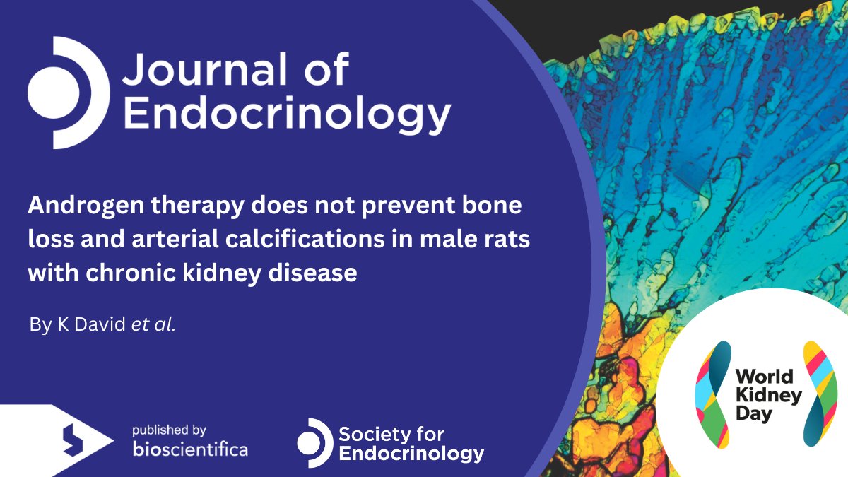 Journal of Endocrinology (@jendocrinology) on Twitter photo Today is #WorldKidneyDay!
We shine a light on research being carried out: K David et al. published 'Androgen therapy does not prevent bone loss and arterial calcifications in male rats with chronic kidney disease'
Read it ➡️ow.ly/Xh1550QSeQw
<a href="/worldkidneyday/">World Kidney Day</a> Today is #WorldKidneyDay!
We shine a light on research being carried out: K David et al. published 'Androgen therapy does not prevent bone loss and arterial calcifications in male rats with chronic kidney disease'
Read it ➡️ow.ly/Xh1550QSeQw
<a href="/worldkidneyday/">World Kidney Day</a>
