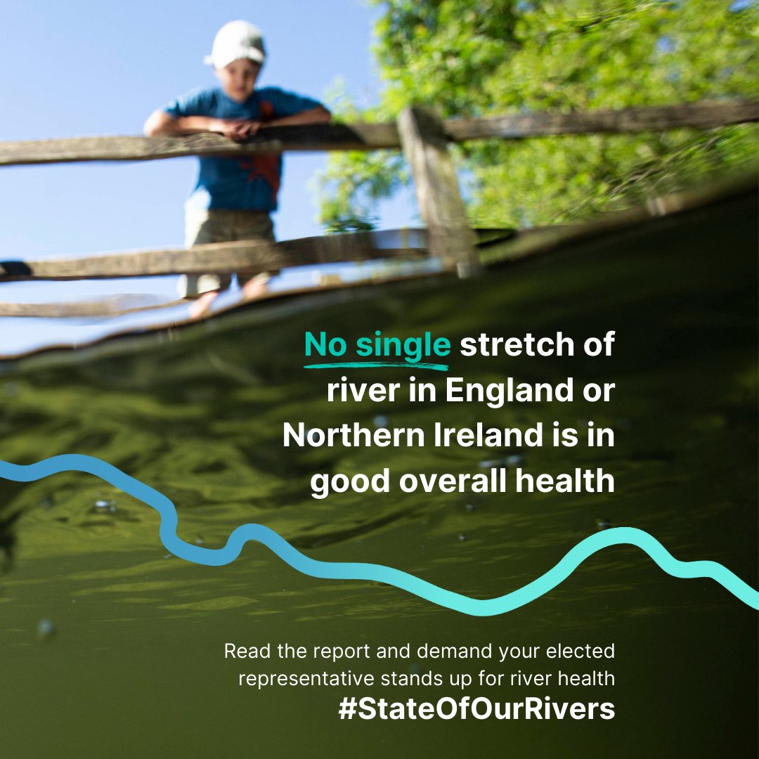 On International #DayofActionforRivers, have you acted on the call in the @TheRiversTrust's #StateOfOurRivers report?

Email your MP, shout out about your river on social media - and we're also urging you to volunteer/sign up for campaigns. 
ow.ly/3LIQ50QNyJX