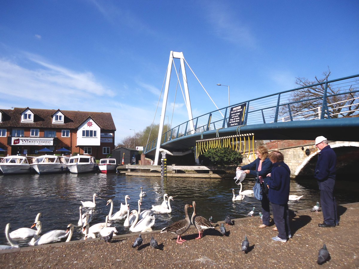 BureCottage tweet media