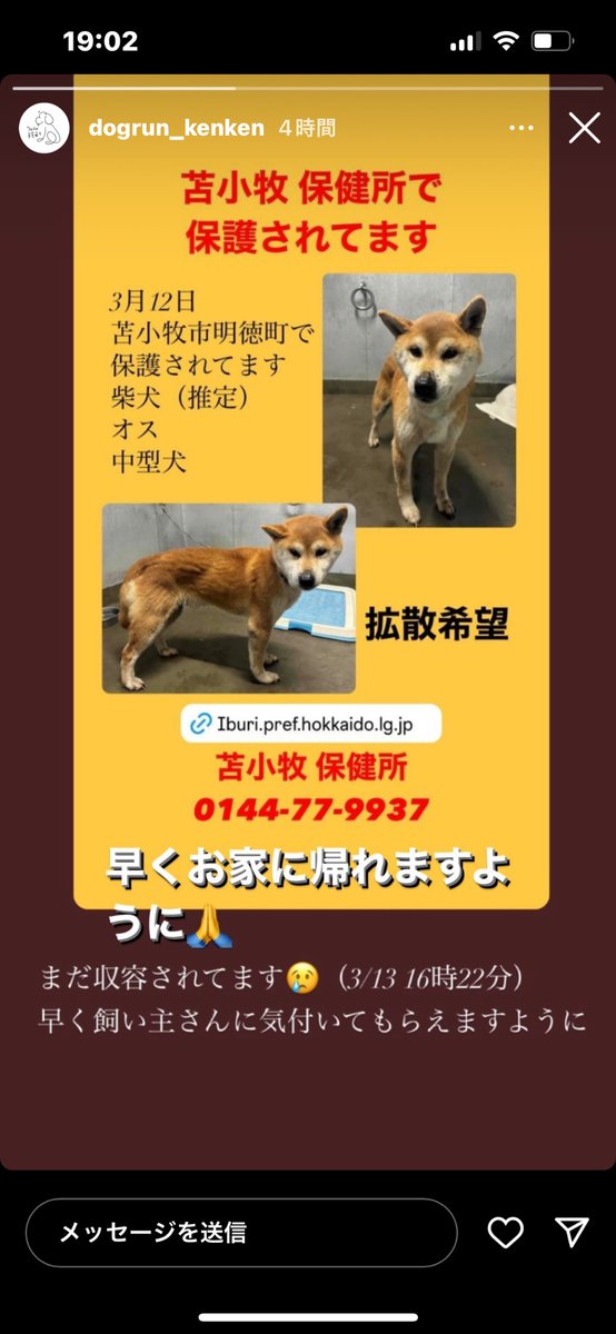 yamapo1978's tweet photo. @chamo9rock こちらを見つけました。 https://t.co/Bts7gro8Jy