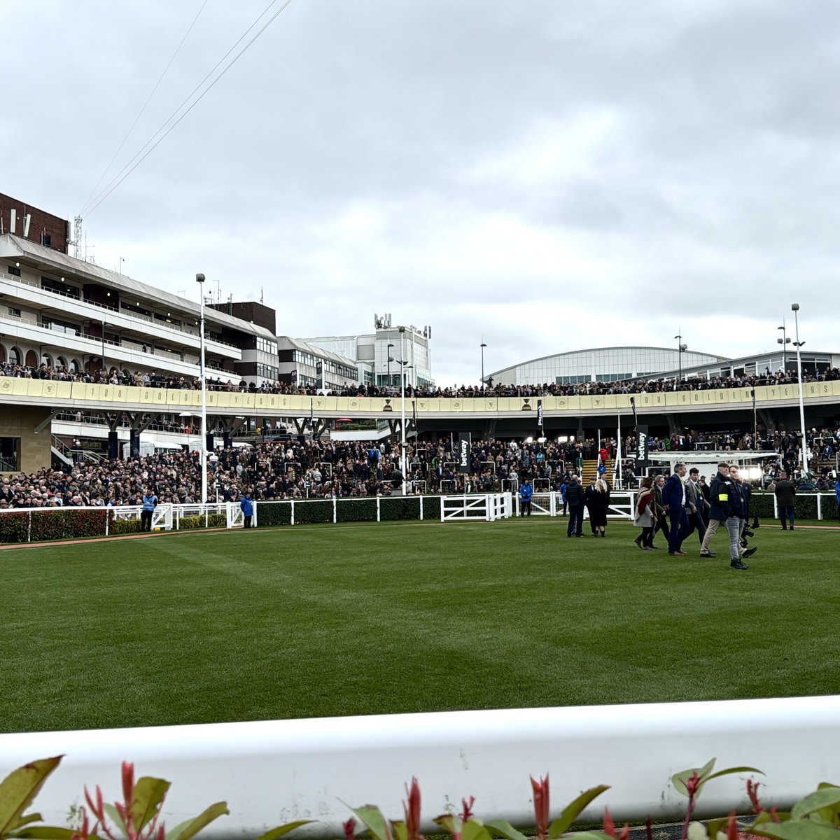 Terrific as always to spend time at <a href="/CheltenhamRaces/">CheltenhamRacecourse</a>, seeing clients, friends and royalty.