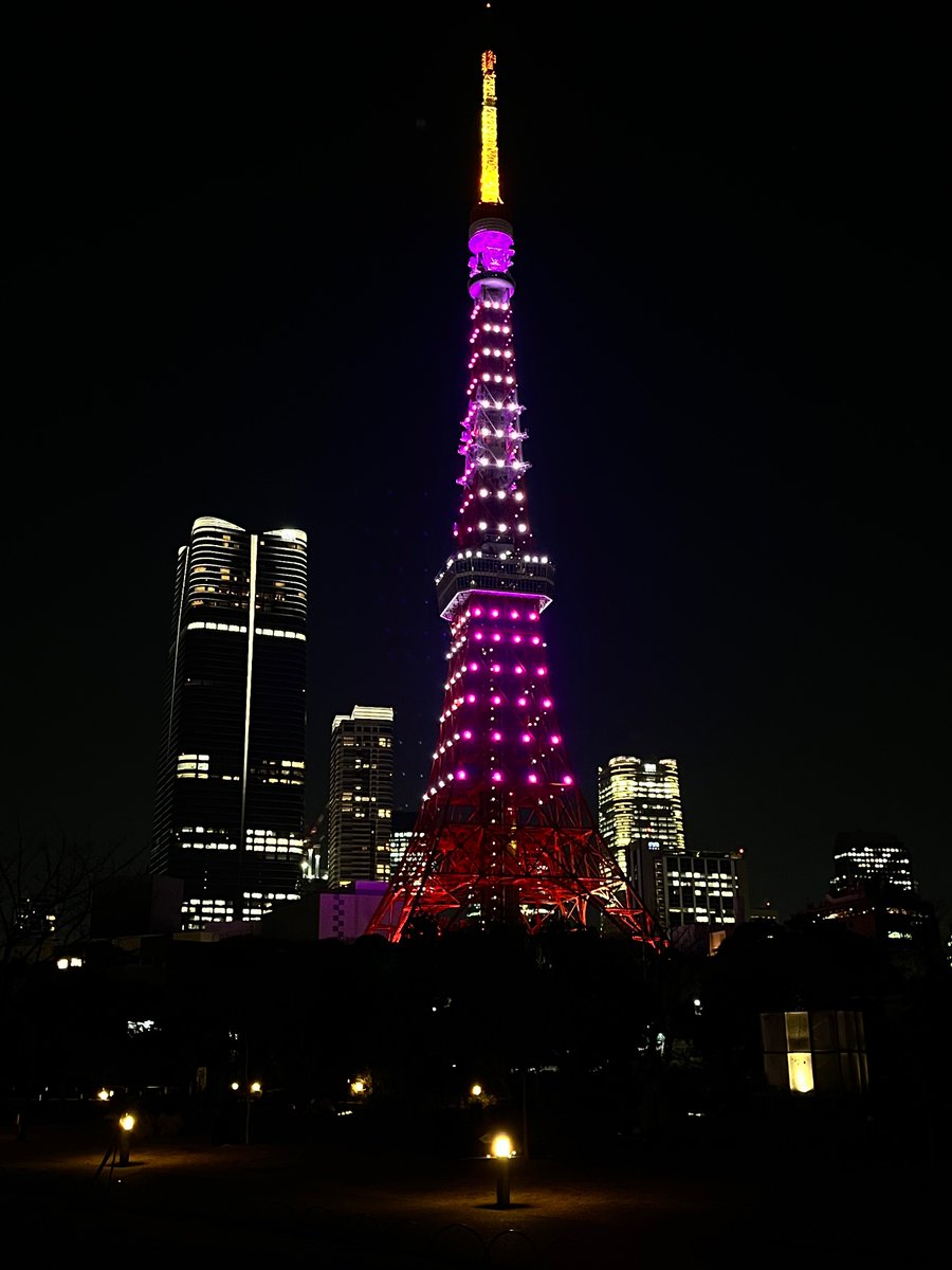 本日の東京タワー🗼