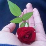 Photo by عبد الحفیظ آرائیں (@fogebhe)