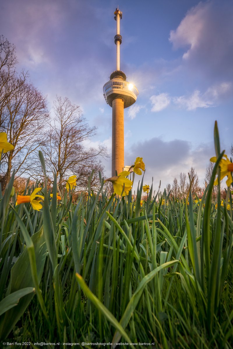 Zon, blauwe lucht, en geen excuus nodig om buiten te zijn. Dit is pas leven! 📷 Wat ga jij doen vandaag? 📷 Bart Ros