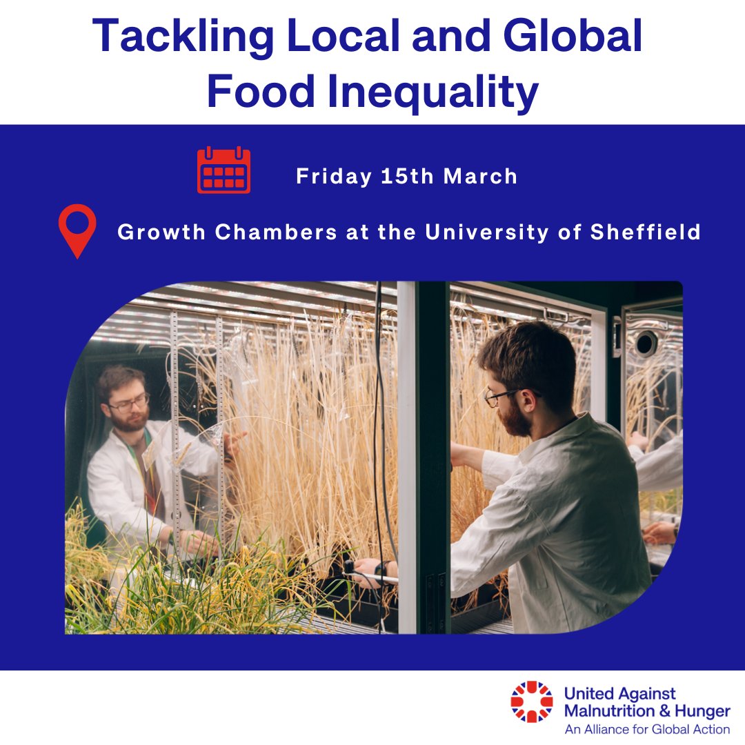 Tomorrow, we host an event with @Food_Foundation & @susfoodshef, a centre of expertise @sheffielduni leading UK innovations to fight food inequality.

🗣️@Bhavani1Shankar, @MeselmaniAl, @CoopG93, @dorotheakleine, @OllieChes, @GeoFoodieOrg, @sheffoodsocial& @MakeItGrowZWE

#BSW24
