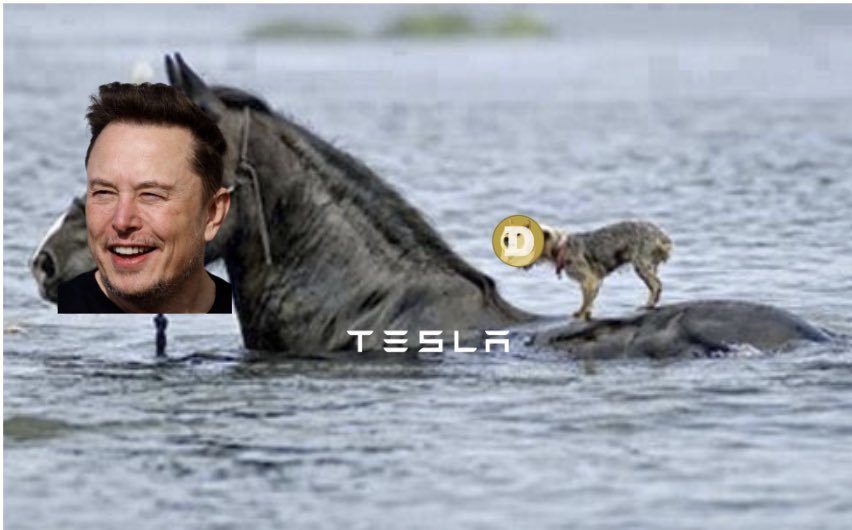 .@elonmusk says @Tesla will enable $DOGE payments 'at some point', #DogeCoin to the moon 🚀