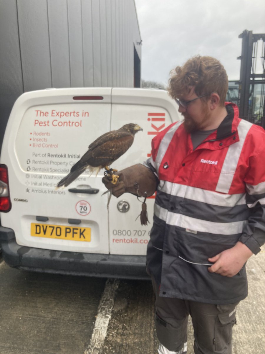 Hawk stopped survey.
Been asked to stay on the ground for 30 mins whilst ‘Scarface’ does his thing.