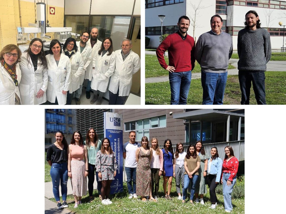 RAGalegaCiencia's tweet photo. 👩‍🔬Premios de Investigación Ernesto Viéitez Cortizo da RAGC: 
 
🥇Microplásticos no medio_ Soledad Muniategui @UDC_gal 

🏅Proxecto sobre o metabolismo da glicosa_ Mª Jesús González @cimususc 

🏅Sistema de IA para a análise de imaxes médicas_ Marcos Ortega @UDC_gal

@axenciaGAIN https://t.co/Ybw8xanduS