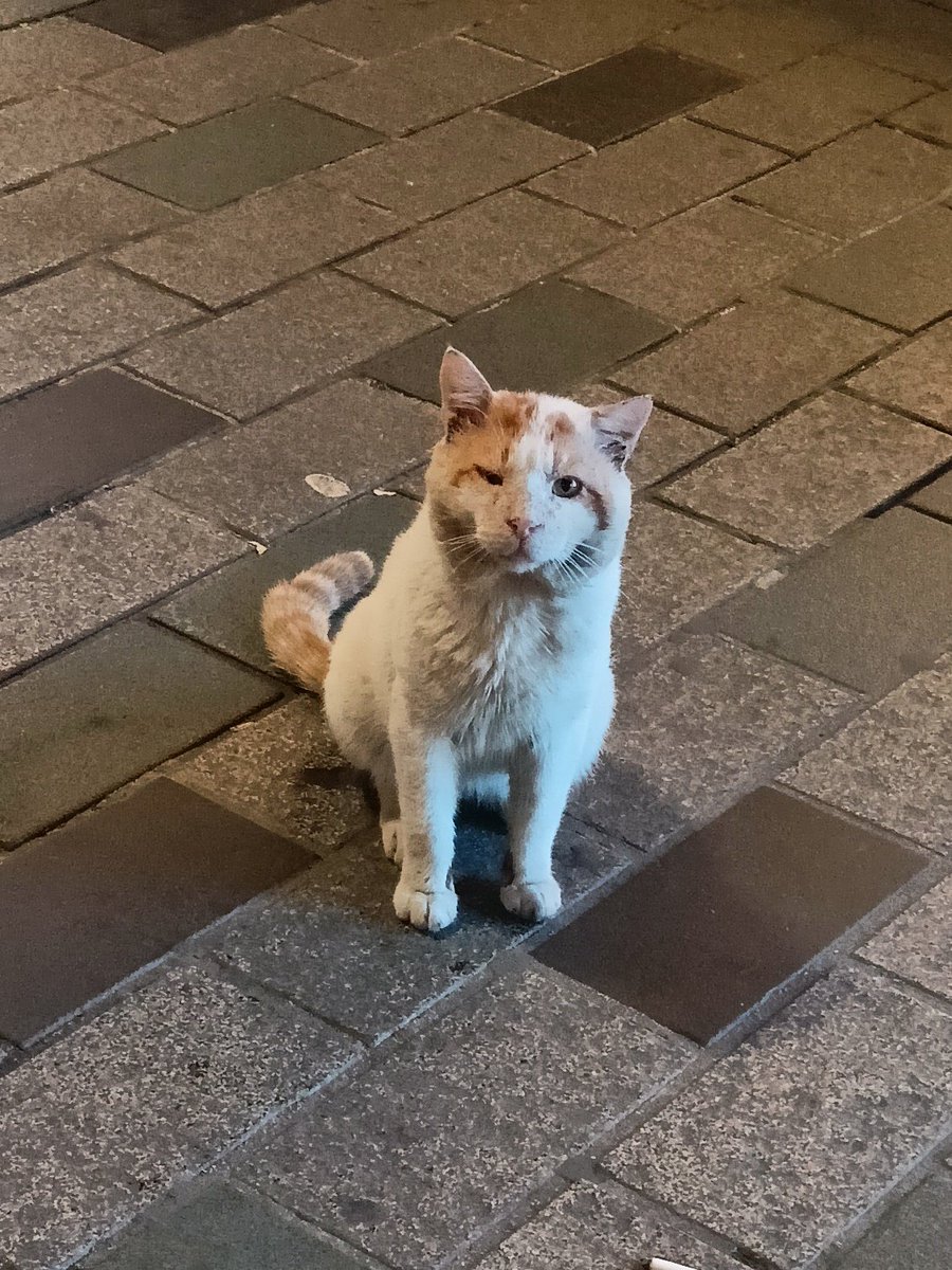 GM 
I just wanted to let you know I'm around.🍻 Photo 4 is me in my final form!... I'll back soon 🖤