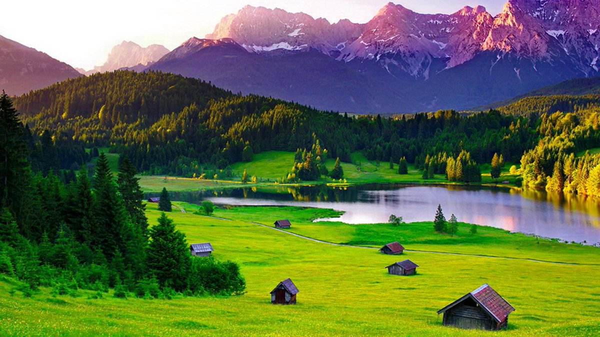 Fede Cánoves tweet media