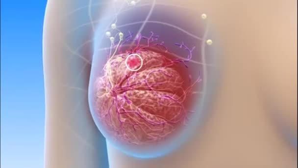 private_sono's tweet image. Prioritizing Breast Health: Your Comprehensive Guide
Breast health is a crucial aspect of wellness that requires attention, awareness, and regular check-ups. 

#BreastHealth #BreastScan #BreastUltrasound

londonsono.com/prioritizing-b…