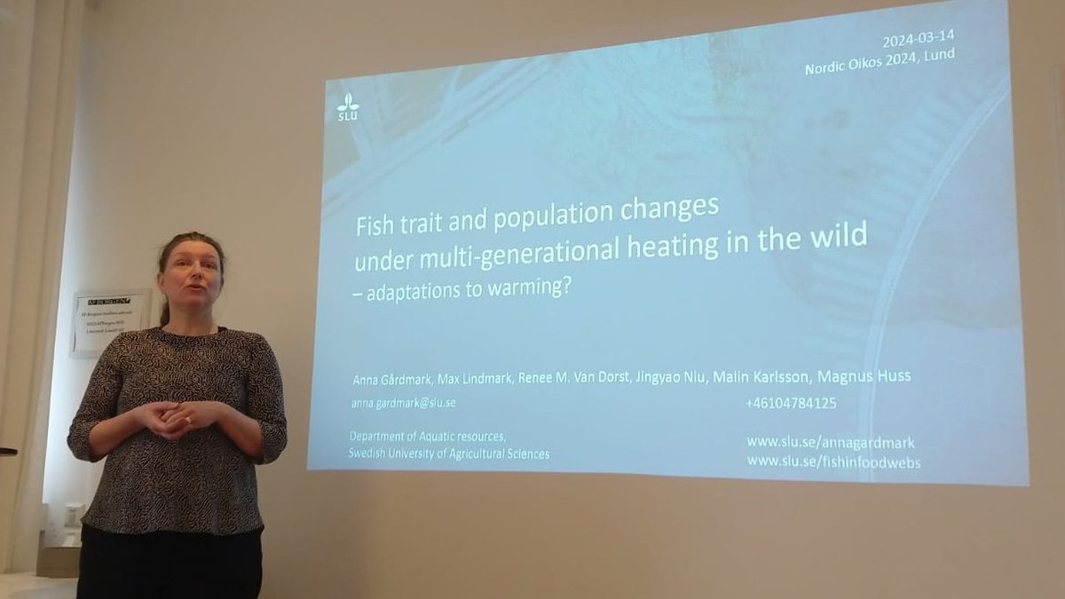 Our subject editor @anna_gardmark gave a fun talk this morning at #NordicOikos2024 on fish trait and population changes under multi-generational heating in the wild!🌡️🐟🐟🐟 @NordicOikos