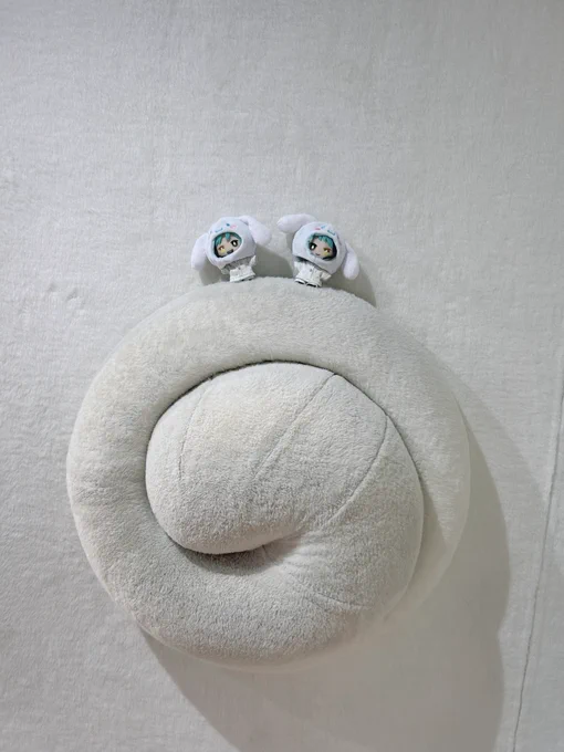 この前初めてピューロに行ってきたんだけどあまりにも癒し空間だった…写真たくさん撮ったので載せちゃう!※シナモンが可愛すぎて悶える自我写ってます 