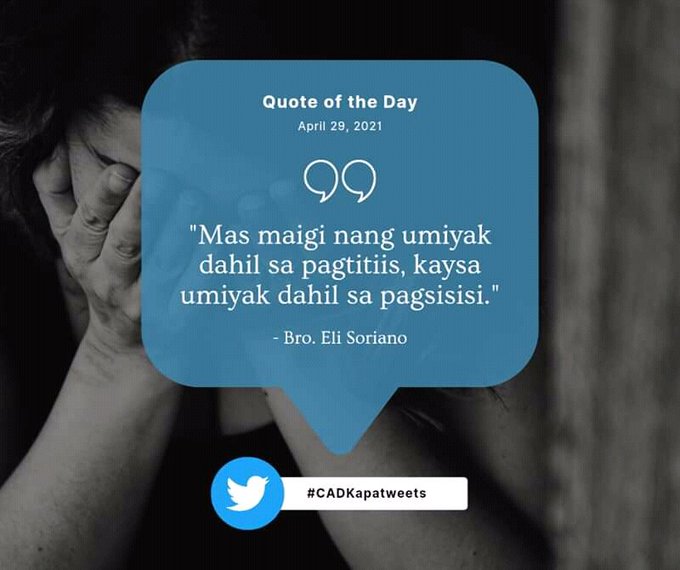 Eng chiroyli mushukning fotosurati