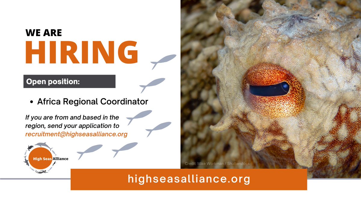 HighSeasAllianc's tweet photo. 📢 If you want to join our team, we are currently looking for a Regional Coordinator for Africa to coordinate and connect our member groups in the region to contribute to the #HighSeasTreaty #RaceForRatification and implementation.

📝 Apply by 31 March ➡️ https://t.co/eQBKKI8GvU https://t.co/PleV7BfxZC