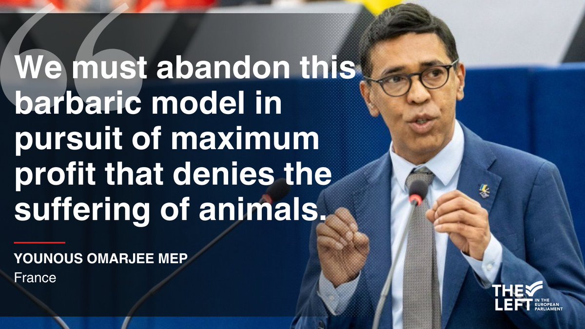 There is no justification for this cruelty. We need a different model. 🐷We want farmed animals protected. 🐤We want empty cages, not empty promises. ❤️‍🩹We demand to end animal cruelty. ❗️Now. #EndTheCageAge #MakeFurHistory