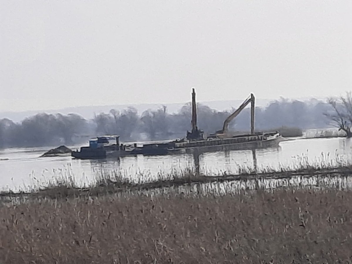 SaveOder's tweet photo. Today is #InternationalDayOfActionForRivers. The opposite is the case on the 🇵🇱🇩🇪 Border River #Odra/#Oder. Construction work on the river continued yesterday, one year after the 🇵🇱 Supreme Administrative Court (NSA/III OZ 78/23) confirmed the construction freeze.
#SaveOder https://t.co/05rj7nZh68