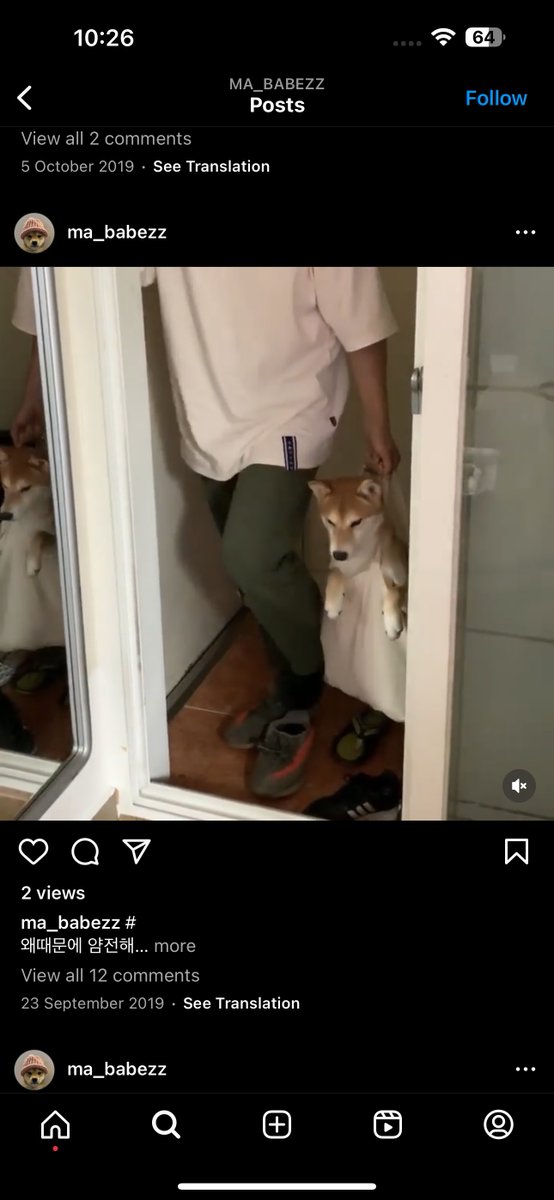 Doginabag tweet media