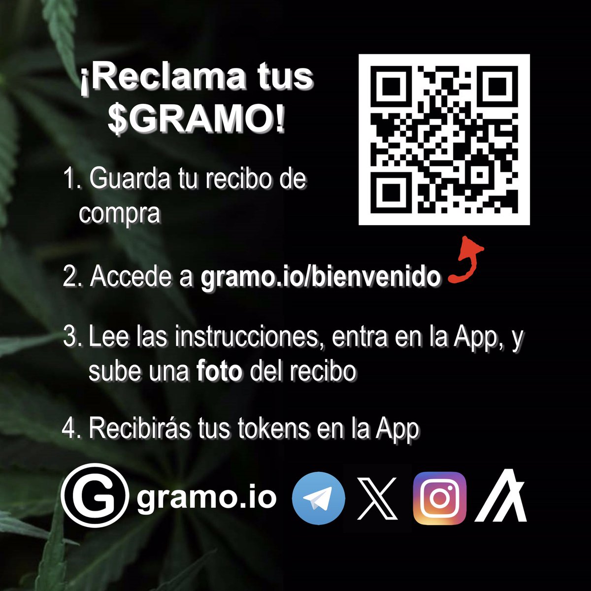 gramo_io's tweet photo. Compra #cannabis en cualquier tienda del mundo y recibe recompensas digitales que puedes intercambiar por cualquier #cripto moneda.
Bienvenido a Gramo. El nuevo programa de fidelidad que te recompensa por hacer lo que más te gusta🍀
https://t.co/NXYNbkEaiX
#algofam #gramotoken https://t.co/lKEjzIEBL5