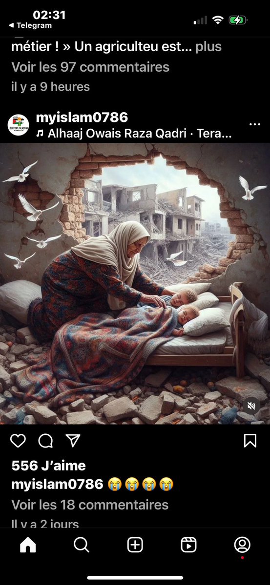 69330_mesyeux_'s tweet photo. #CeasefireInGazaNOW
#PalestineWillBeFree
Nous dénonçons le #Zionism qui n’a rien à voir avec le #Judaïsme‼️
RT svp
🙏🤲❤️😪🇵🇸🇵🇸🇵🇸
#WestandwithPalestine 🇵🇸❤️
#WestandwithPalestine 🇵🇸❤️
#GazaAttack #ResistanceEconomique #ZeroConso4Peace #ZeroConso4Gaza
#Gaza #Gaza_Genocide https://t.co/CNxJUmrBx7