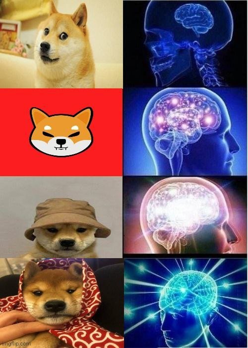dogwifscarf tweet media
