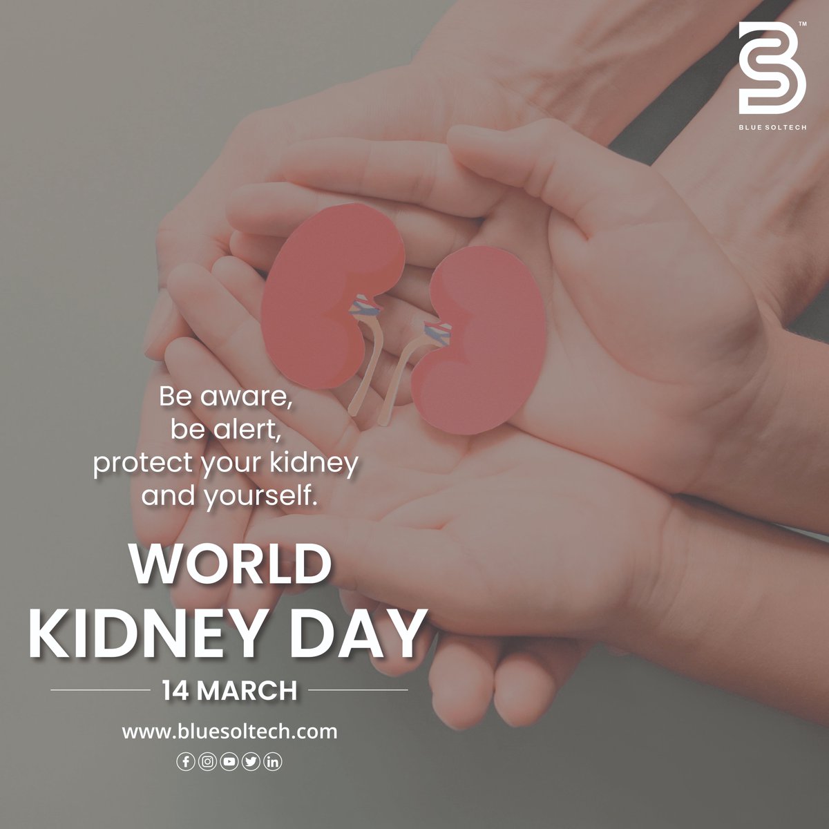 bluesoltech__'s tweet photo. "Let's raise awareness and celebrate World Kidney Day! 🎉💙 Take a moment to appreciate these vital organs and the importance of kidney health. #WorldKidneyDay #KidneyHealth" https://t.co/AZufhuexxj