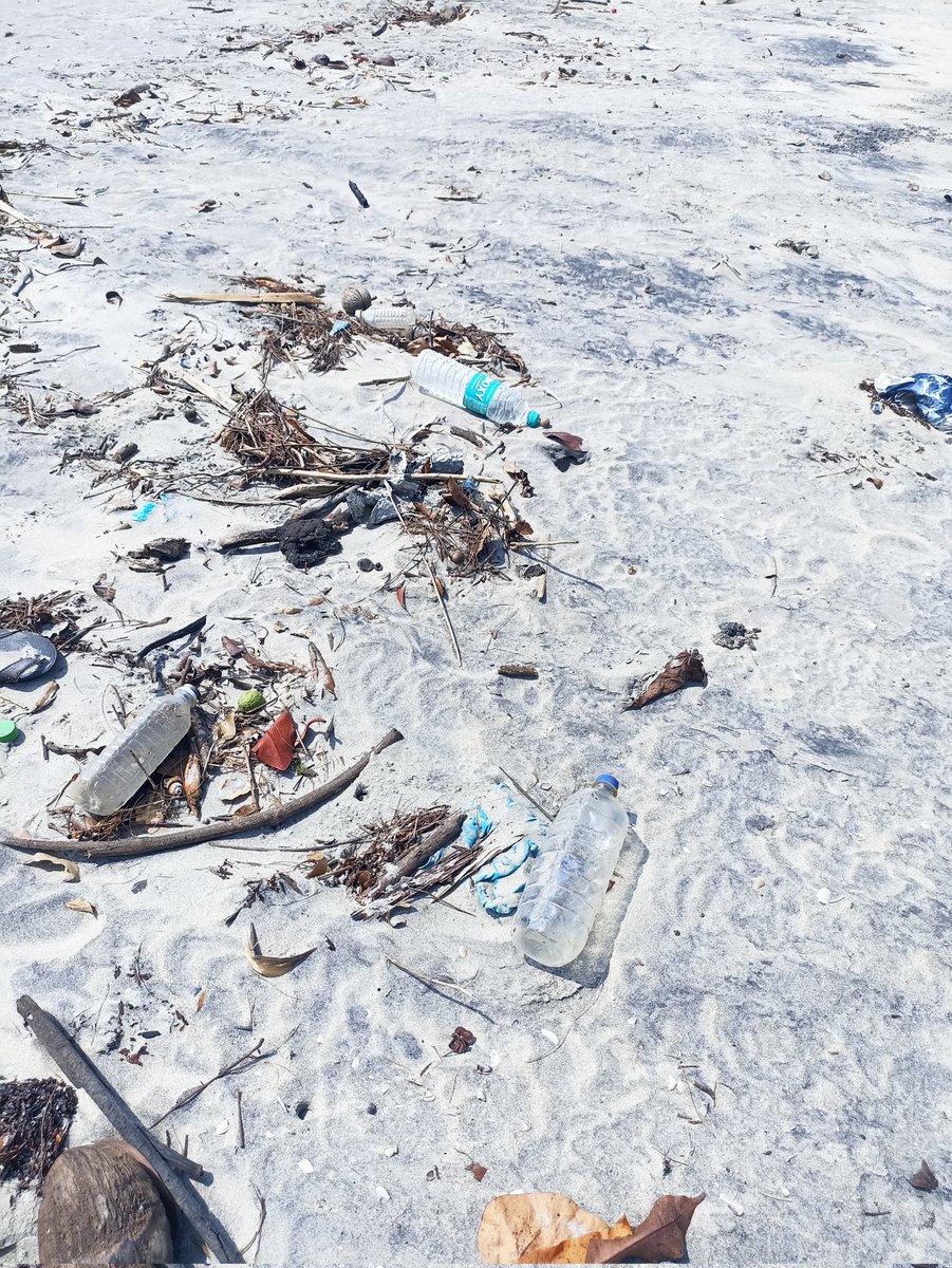 dharmeshbarai's tweet photo. Protect Ocean Protect Future!
Stop littering, behave with some responsibilities.
#PollutionFreeOcean
#Tarkarli #devbag
@MangroveForest https://t.co/fCjXeVJ7eZ