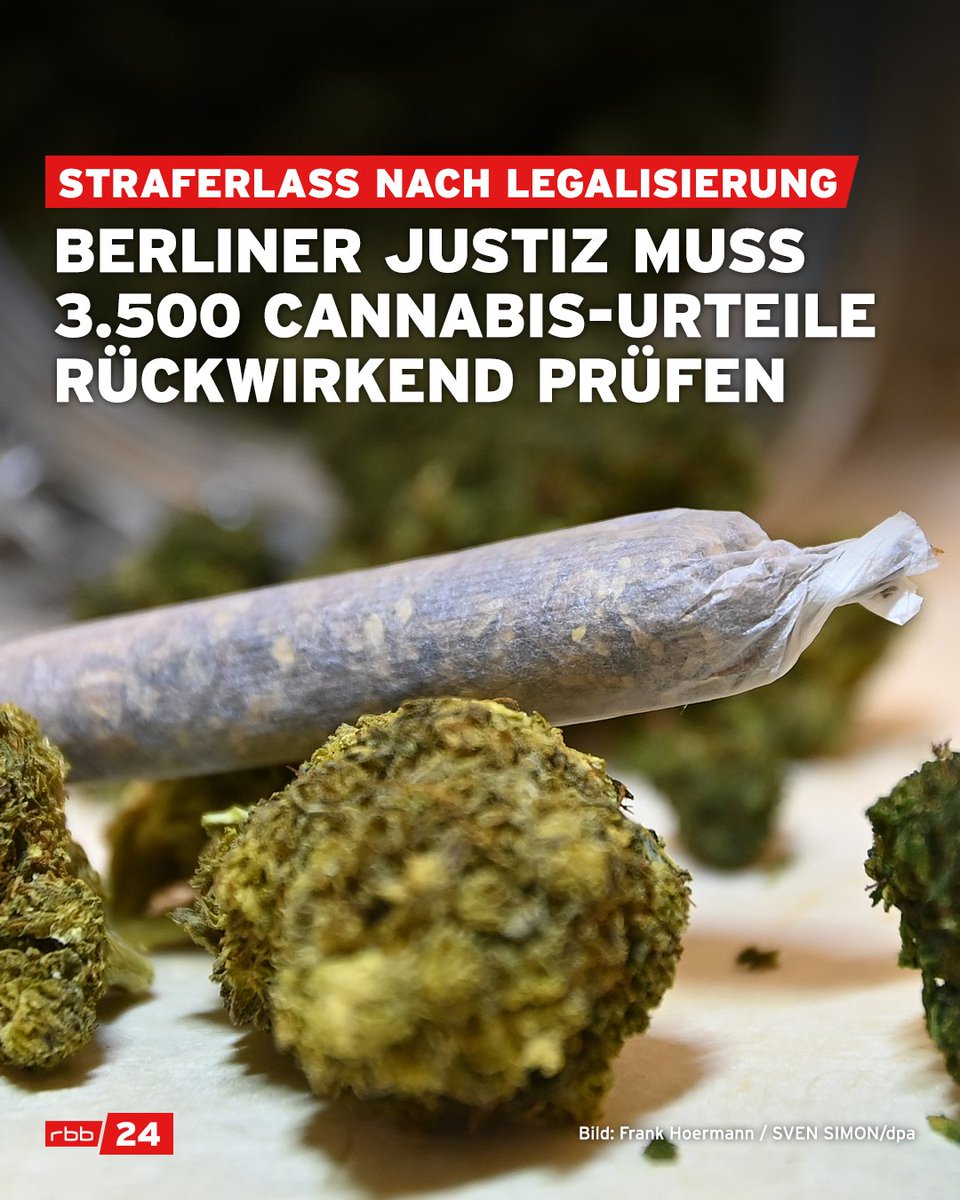 rbb24's tweet photo. Durch das neue #Cannabisgesetz kommt es nicht nur zu einer teilweisen #Legalisierung.  Auch noch nicht vollständig vollstreckte #Strafen müssten erlassen werden. Kritiker sehen darin ein "Bürokratiemonster". Die Berliner Justiz hätte dann gut zu tun. 👉https://t.co/SqUV1ajy1u https://t.co/YCOt0tt4Z2