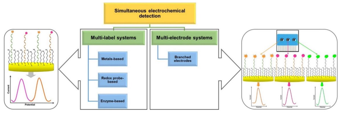 Sensors_MDPI's tweet image. #highlycitedpaper
Advances in Design Strategies of Multiplex Electrochemical Aptasensors
mdpi.com/1424-8220/22/1…
#electrochemical_methods #aptamers #aptasensors #simultaneous_detection #multi_label_approaches