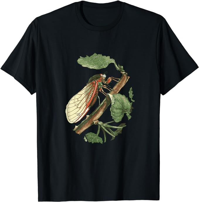 TaicheTees's tweet photo. https://t.co/fCKi3yZfNd: Cicada Illustration #TShirt #taiche #cicada #nature #insect #cicadas #insects #entomology #macro #bugs #bug #summer #insectsofx #oddities #nature #art #wildlifeart #cicadaseason #cicadidae #insectart https://t.co/watKJ5a0GC https://t.co/C5UkBy27In