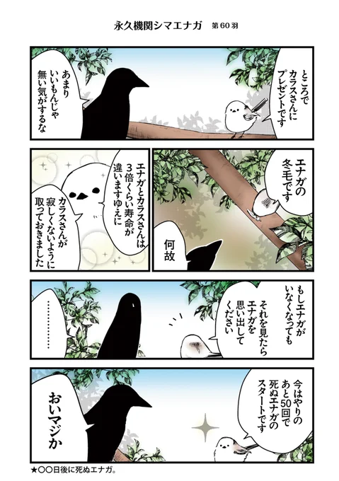 ✨🌸永久機関シマエナガ🌸✨
✨コミックス最新刊発売記念✨
✨⌚8:00/18:00⌚✨
✨シーズン1 毎日再配信中✨

#永久機関シマエナガ
#シマエナガとカラスさん

【シーズン1/第60羽】 