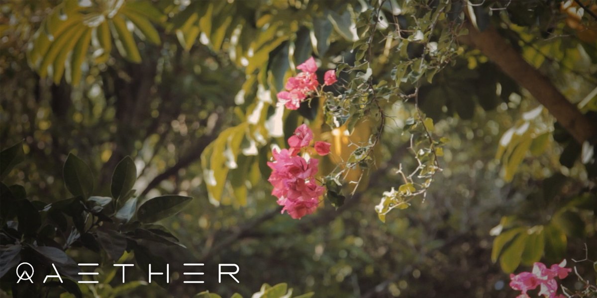 🌿 Join Nicole Junkermann in celebrating Aether's pioneering bioengineering for a greener, more sustainable tomorrow! 🌎 #GreenTechLeaders #AetherRevolution