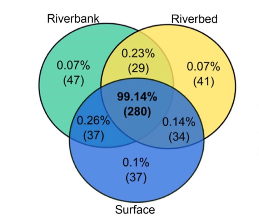New study led by <a href="/MandySander_/">Mandy Sander</a> from <a href="/unidue/">Uni Duisburg-Essen @unidue.bsky.social</a> shows that #eDNA time series data reveal distinct community changes („seasonal clock“) and also pick up functional changes in benthic #invertebrate communities with season. Sampling position was not very relevant
doi.org/10.1002/rra.42…